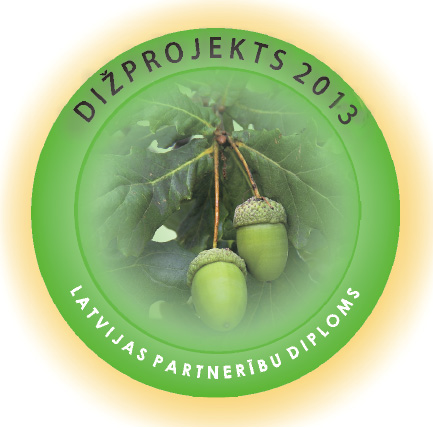 dizprojekts2013 logo